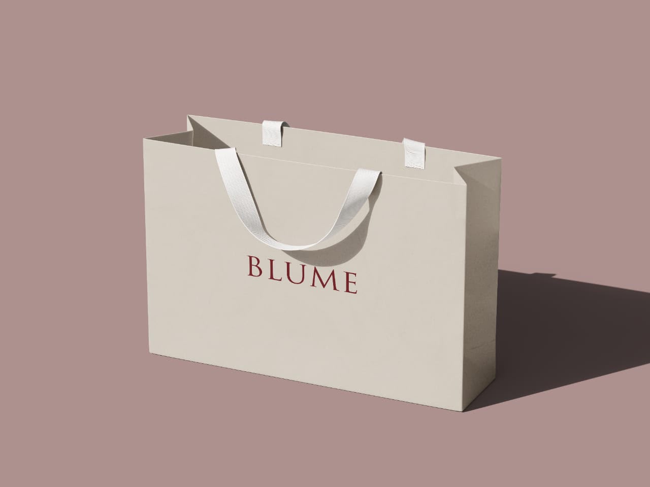 Packaging Concept